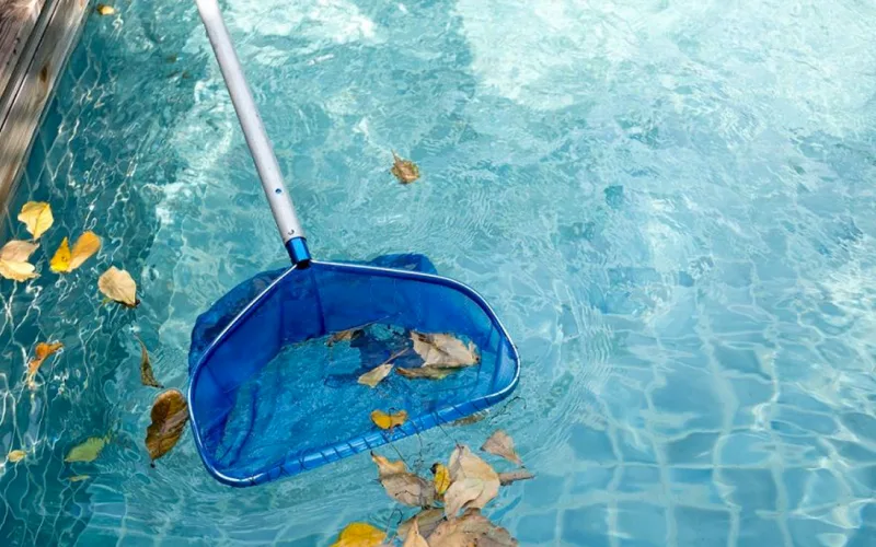 Épuisette retirant les feuilles à la surface d'une piscine